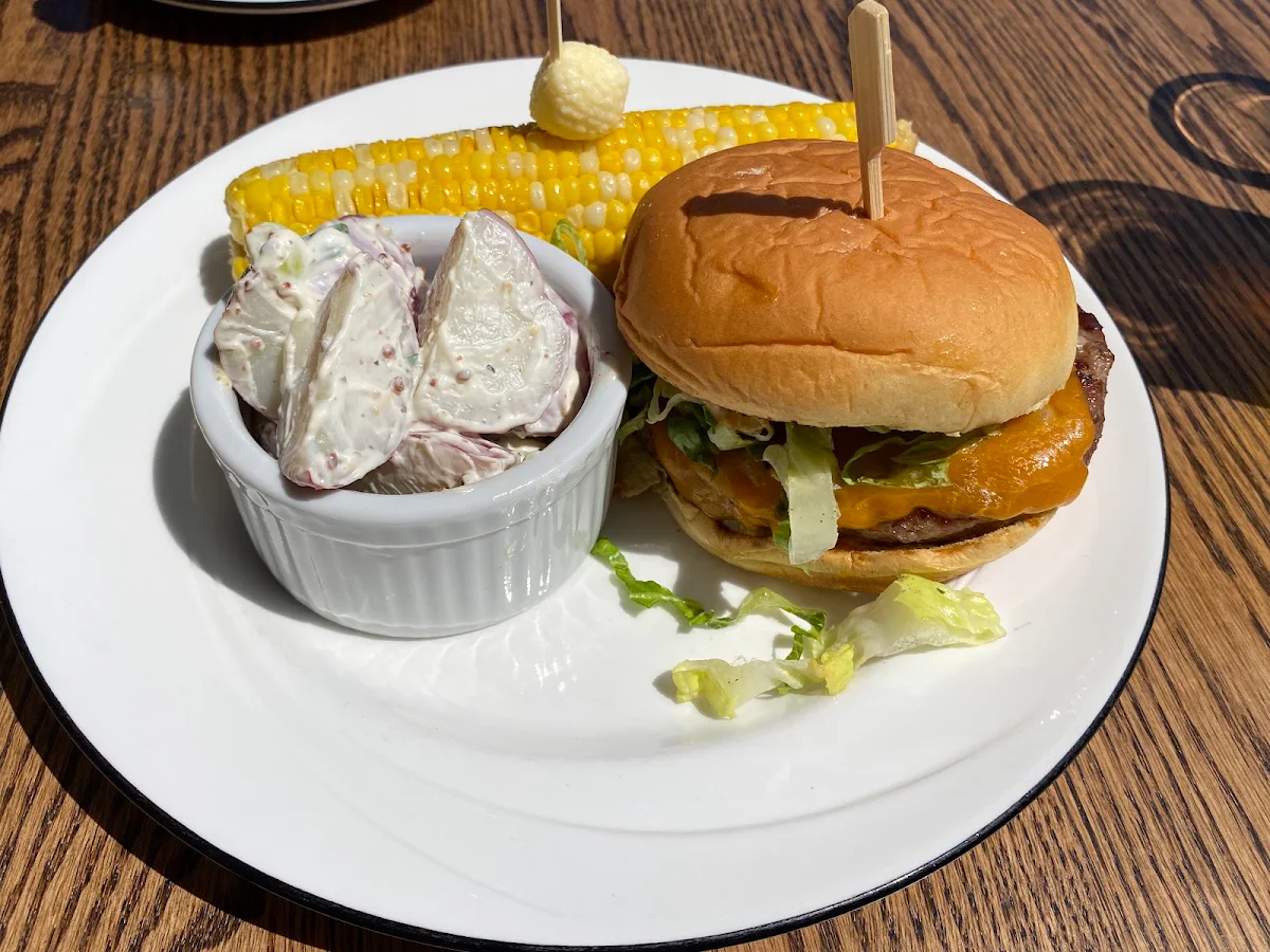 Mountain Burger and Potato Salad