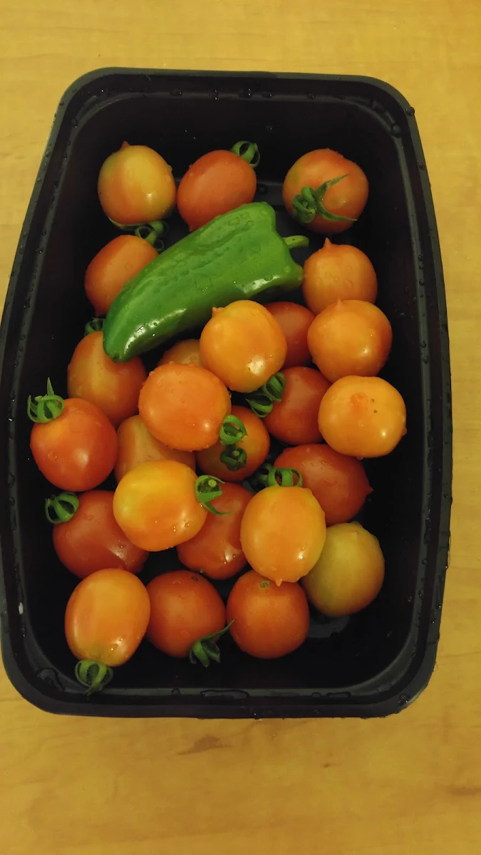 Tomato Sauce