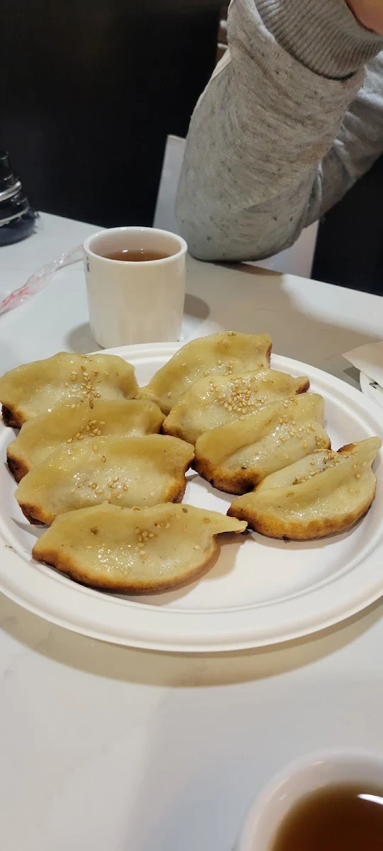 Pan-Fried Pork Dumplings