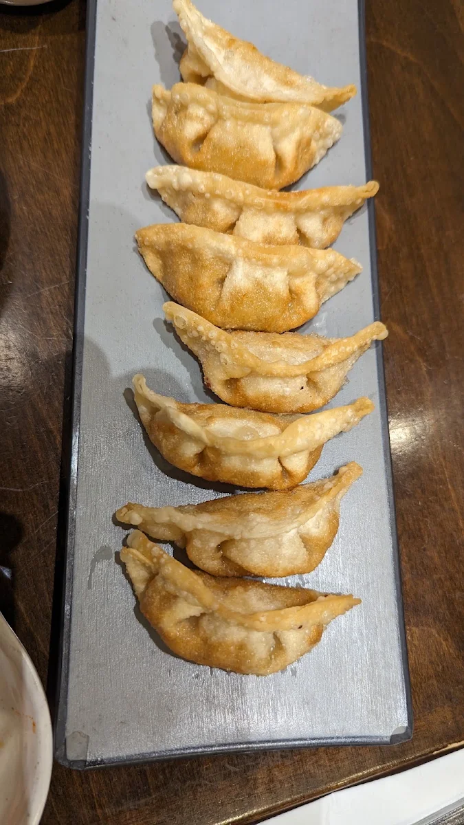 Fried Dumplings