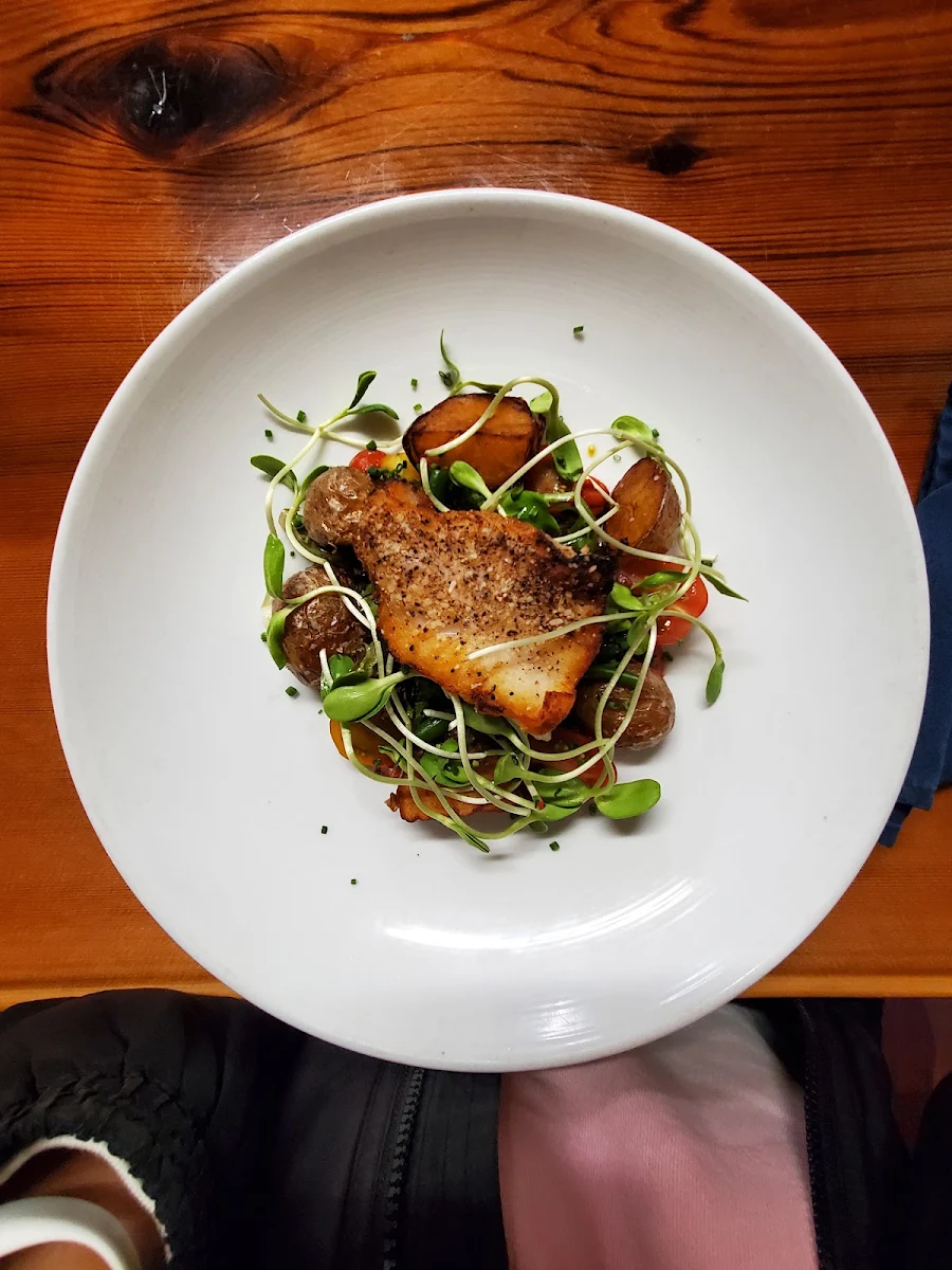 Ling Cod