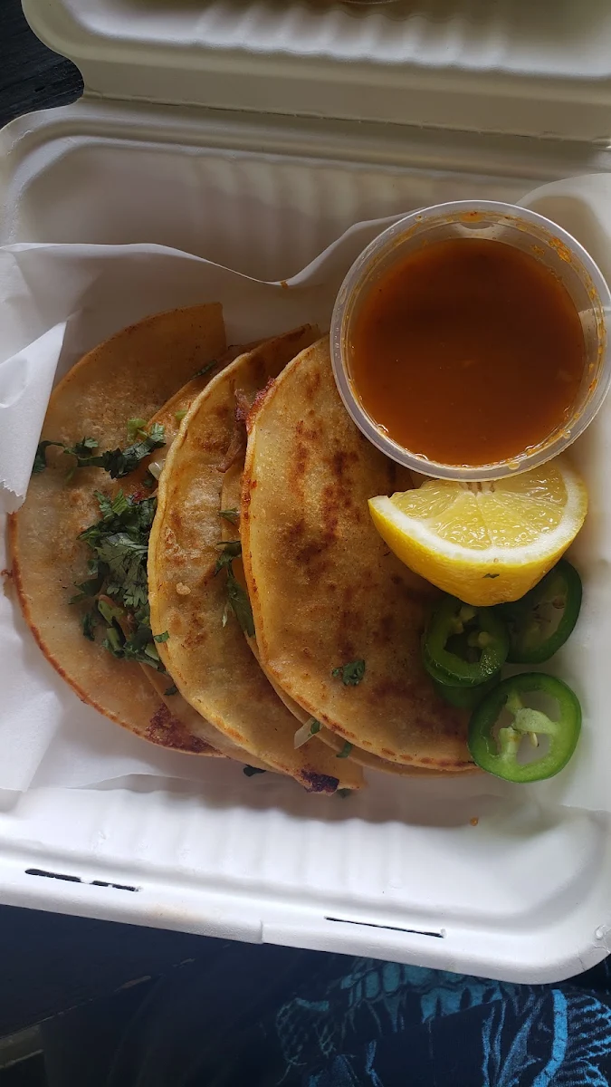Tacos Birria