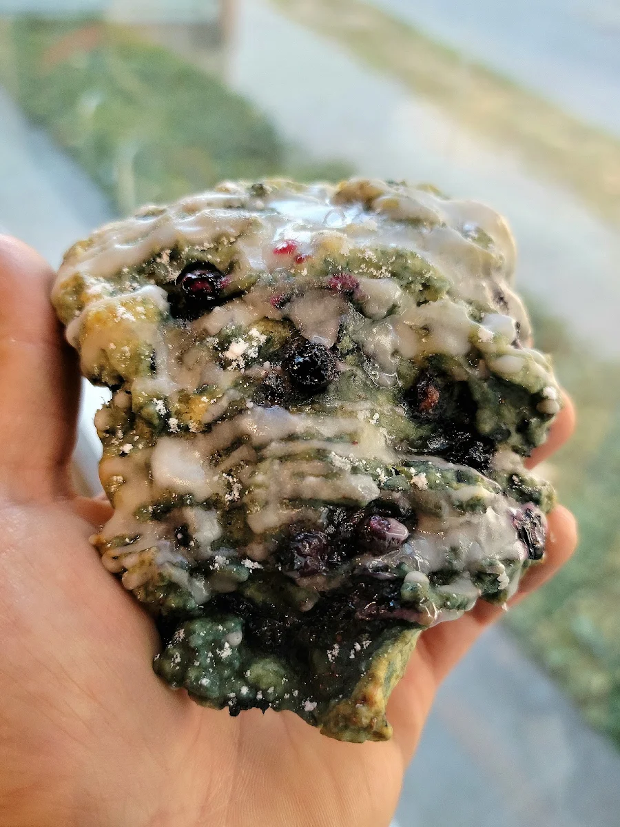 Blueberry Lemon Scone