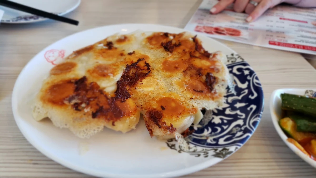 Pan Fried Dumplings