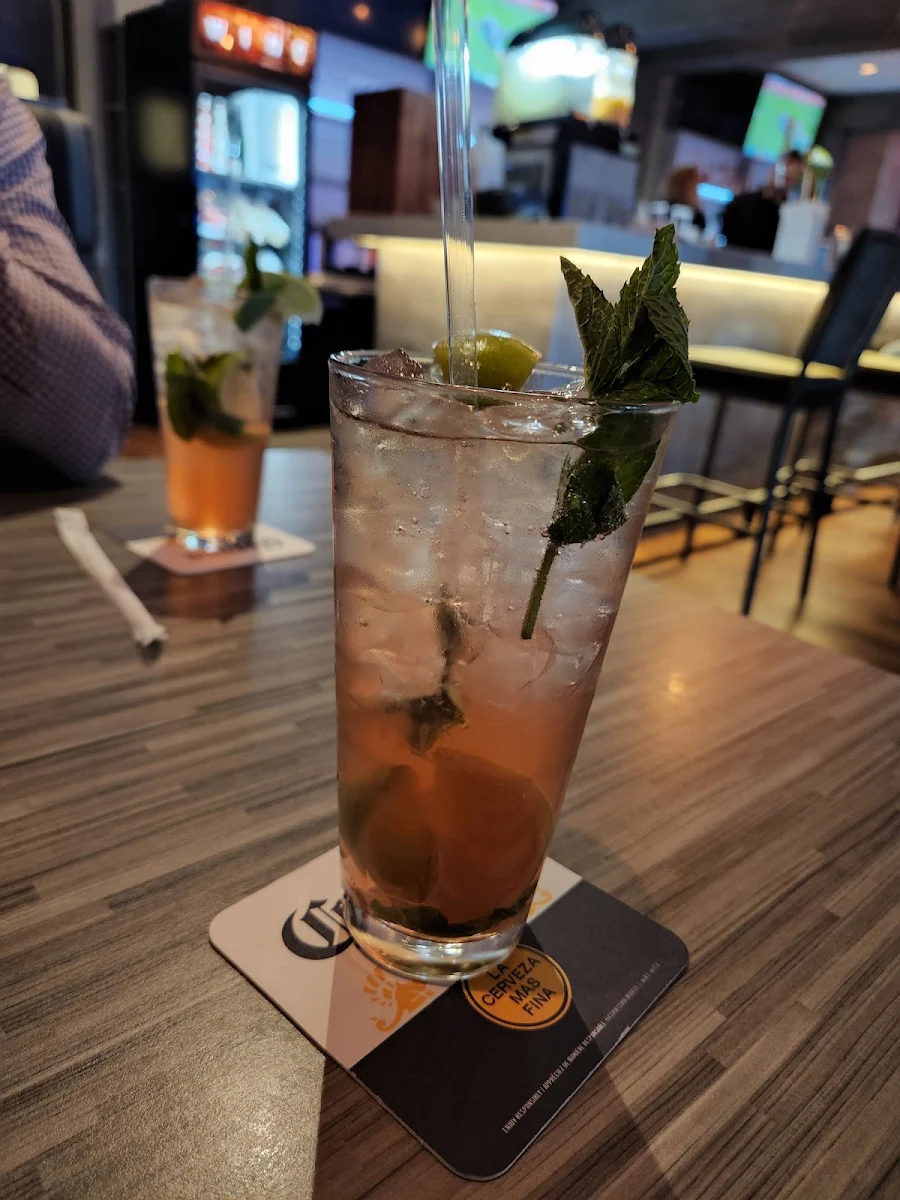 Watermelon Mojito