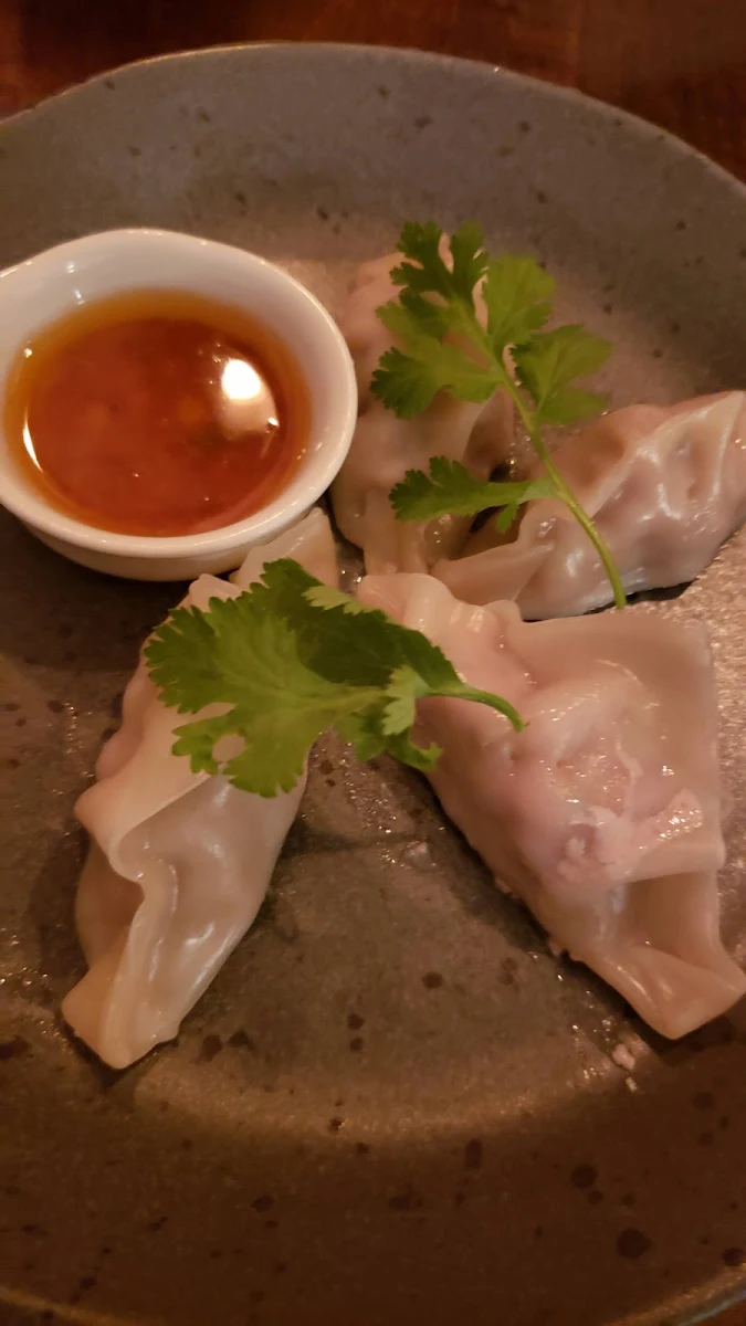 Pork Dumplings