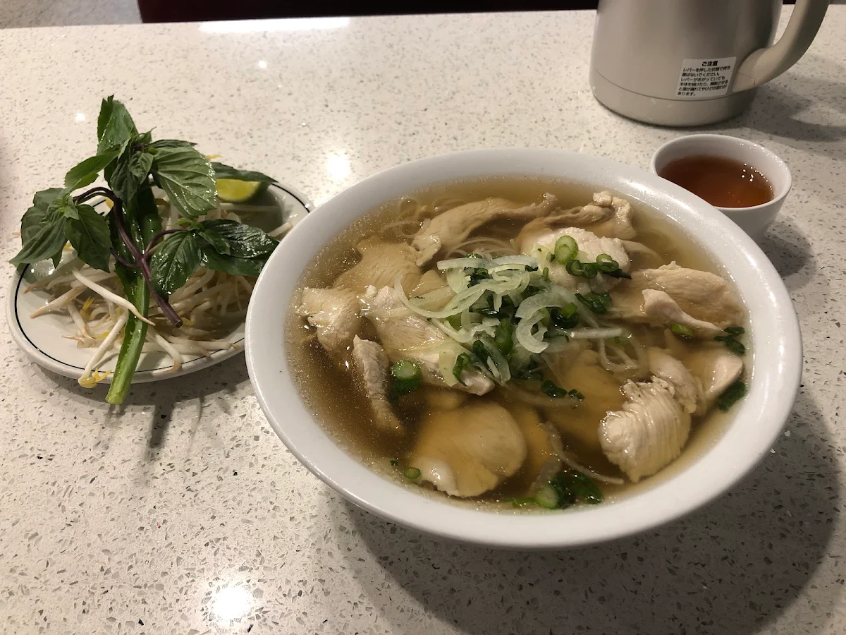 Chicken Rice Noodle Soup