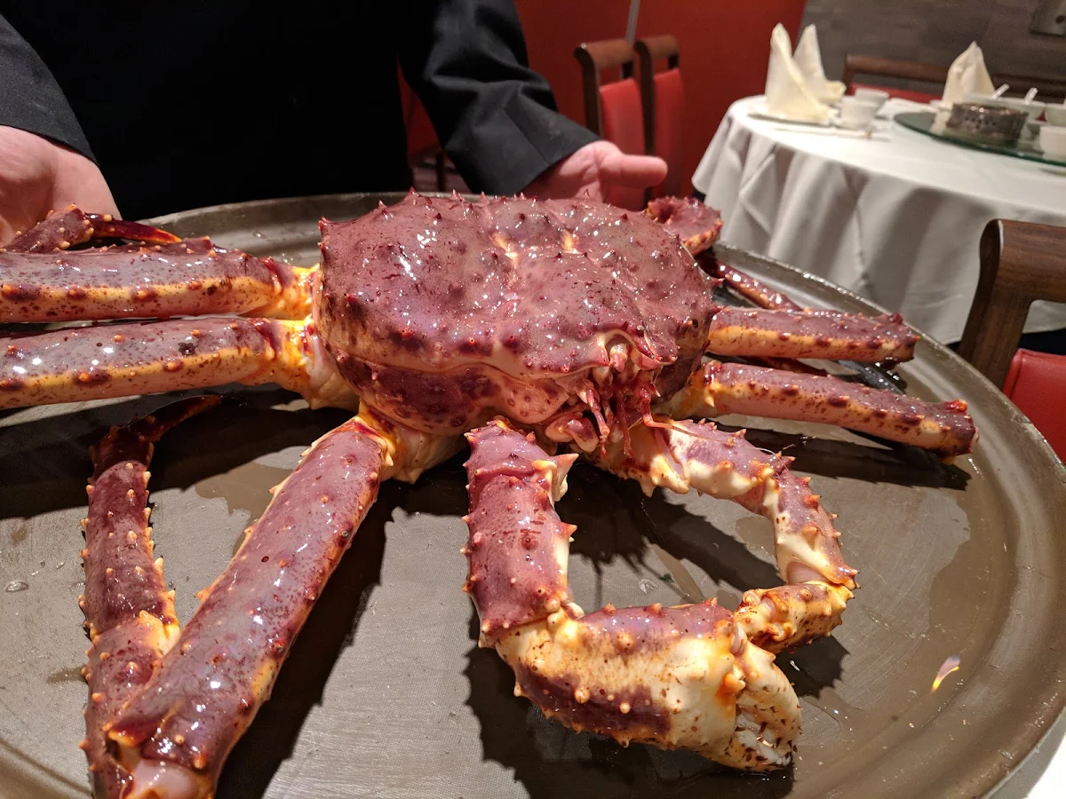 Alaskan King Crab