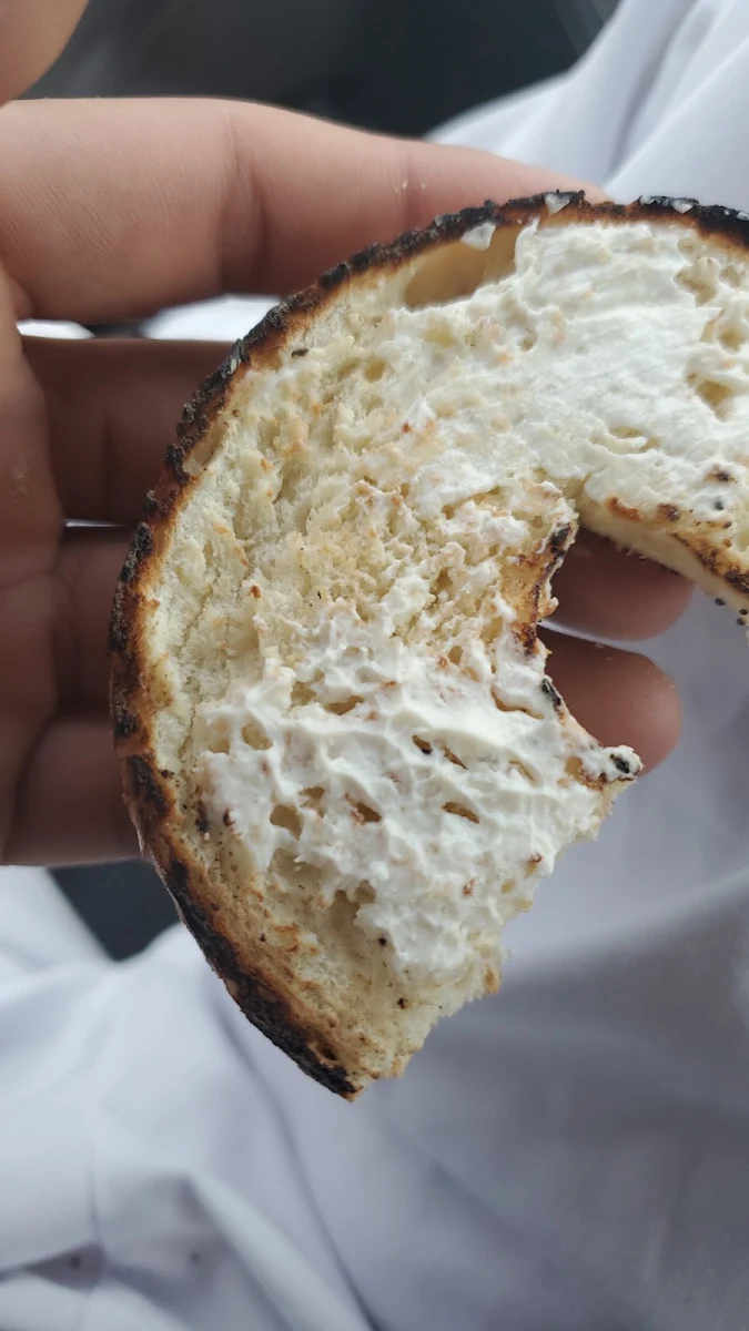 Everything Bagel
