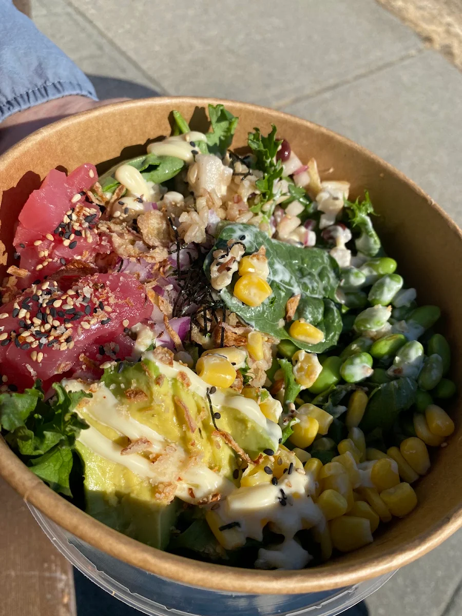 Tuna Bowl
