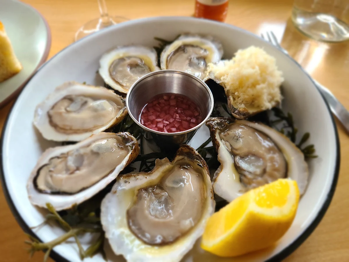 Oysters