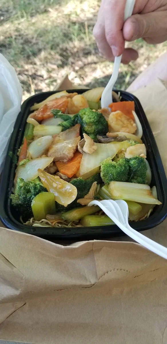 Cantonese Chow Mein Soft Noodles
