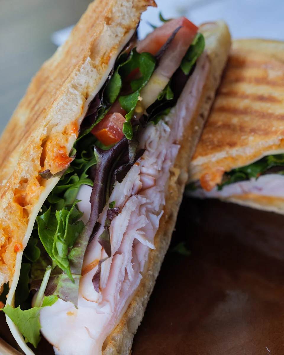 Pesto Chicken Panini