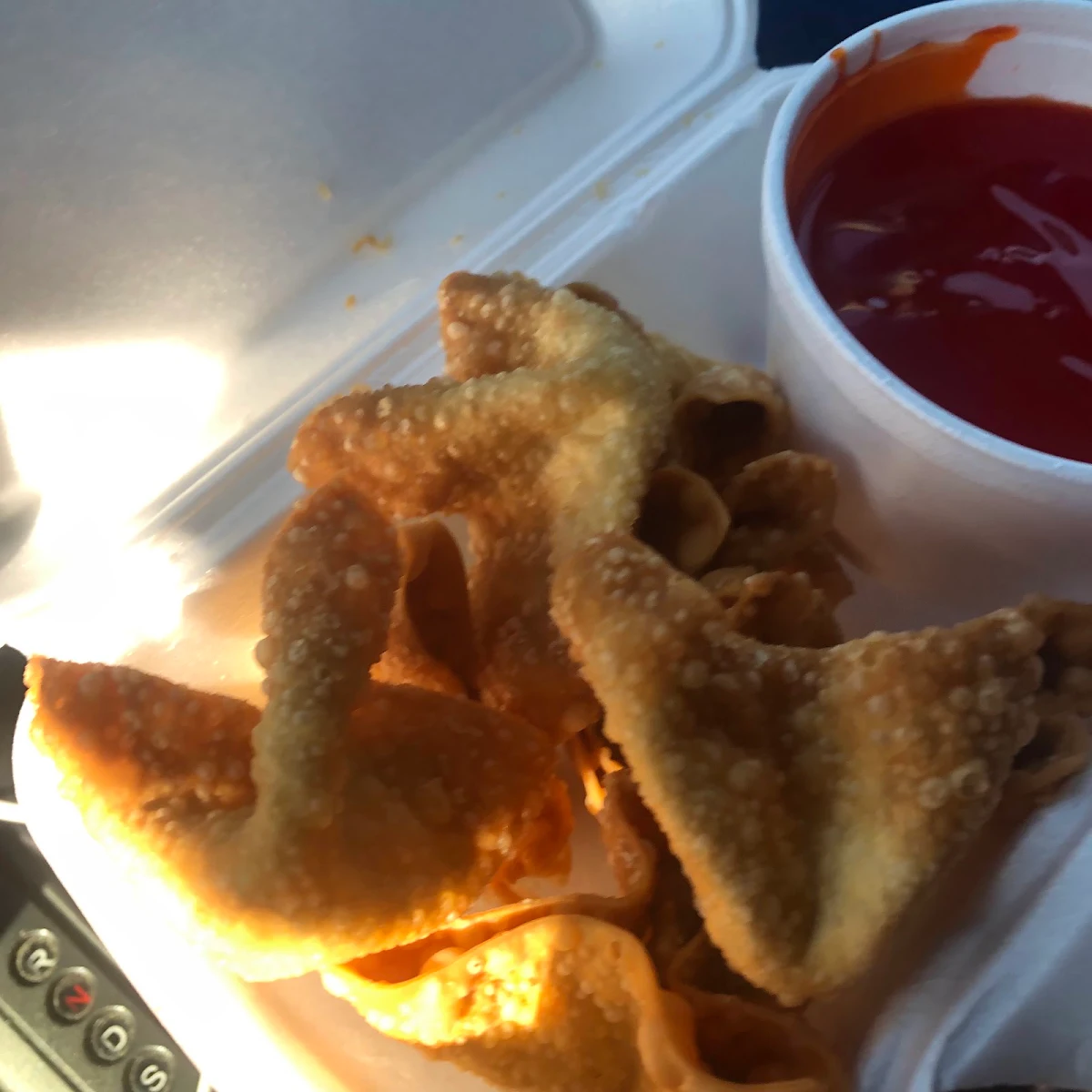 Sweet & Sour Deep Fried Wonton