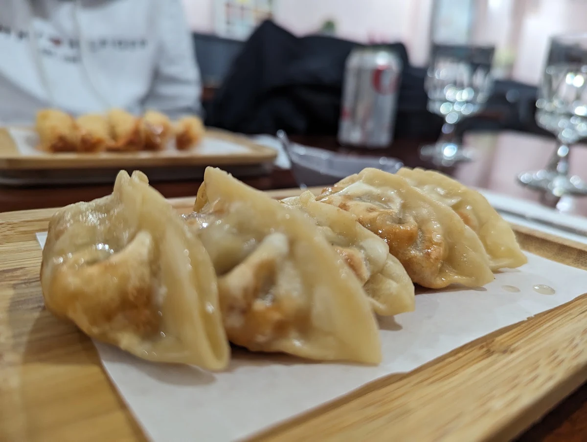 Chicken Dumplings