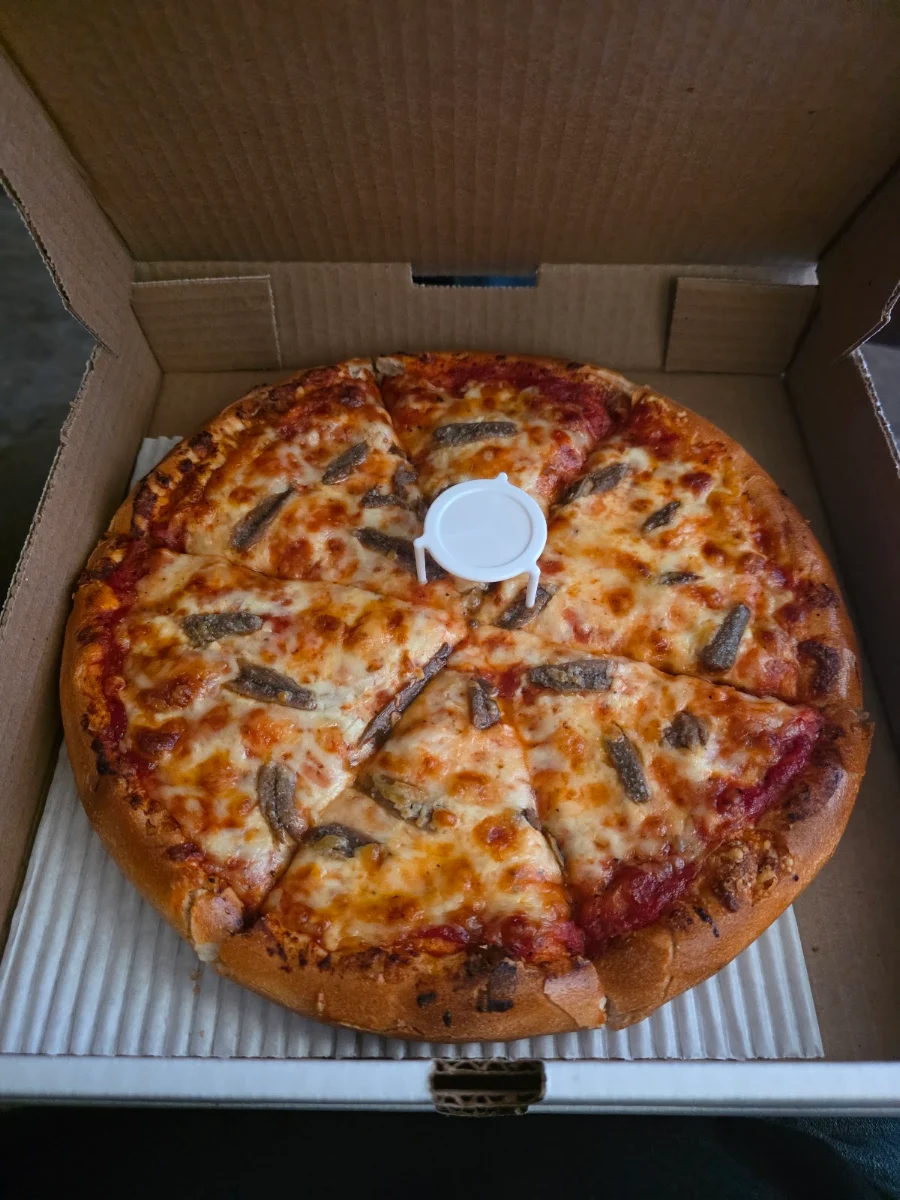 Anchovy Pizza