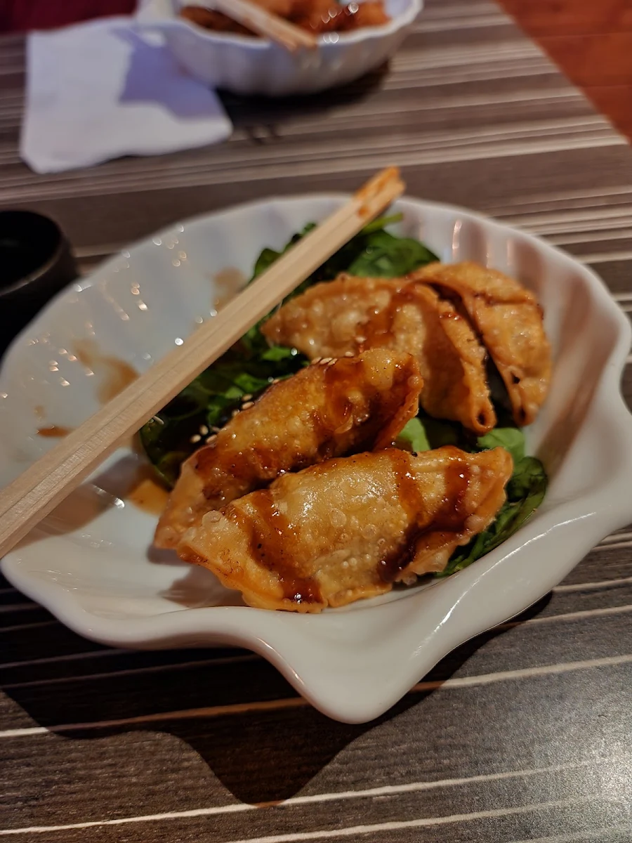 Fried Dumplings