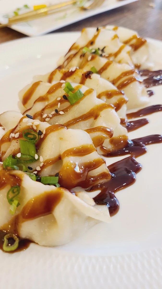 Chicken Dumplings