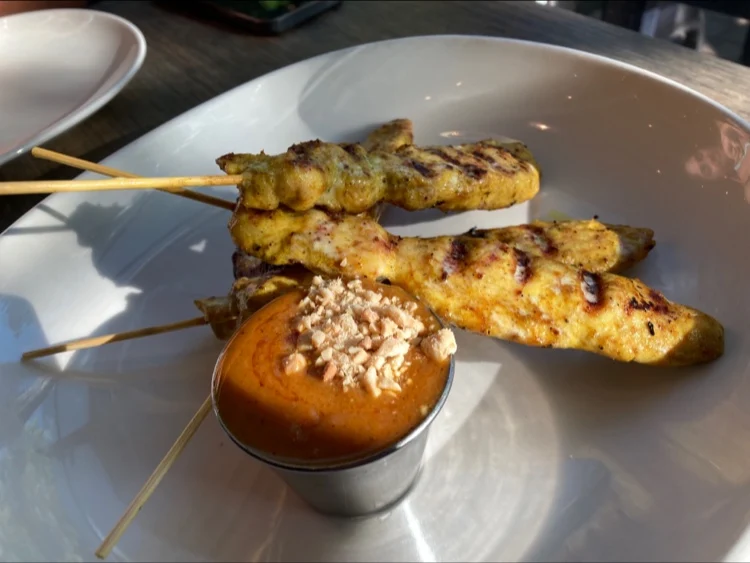 Grilled Chicken Skewers