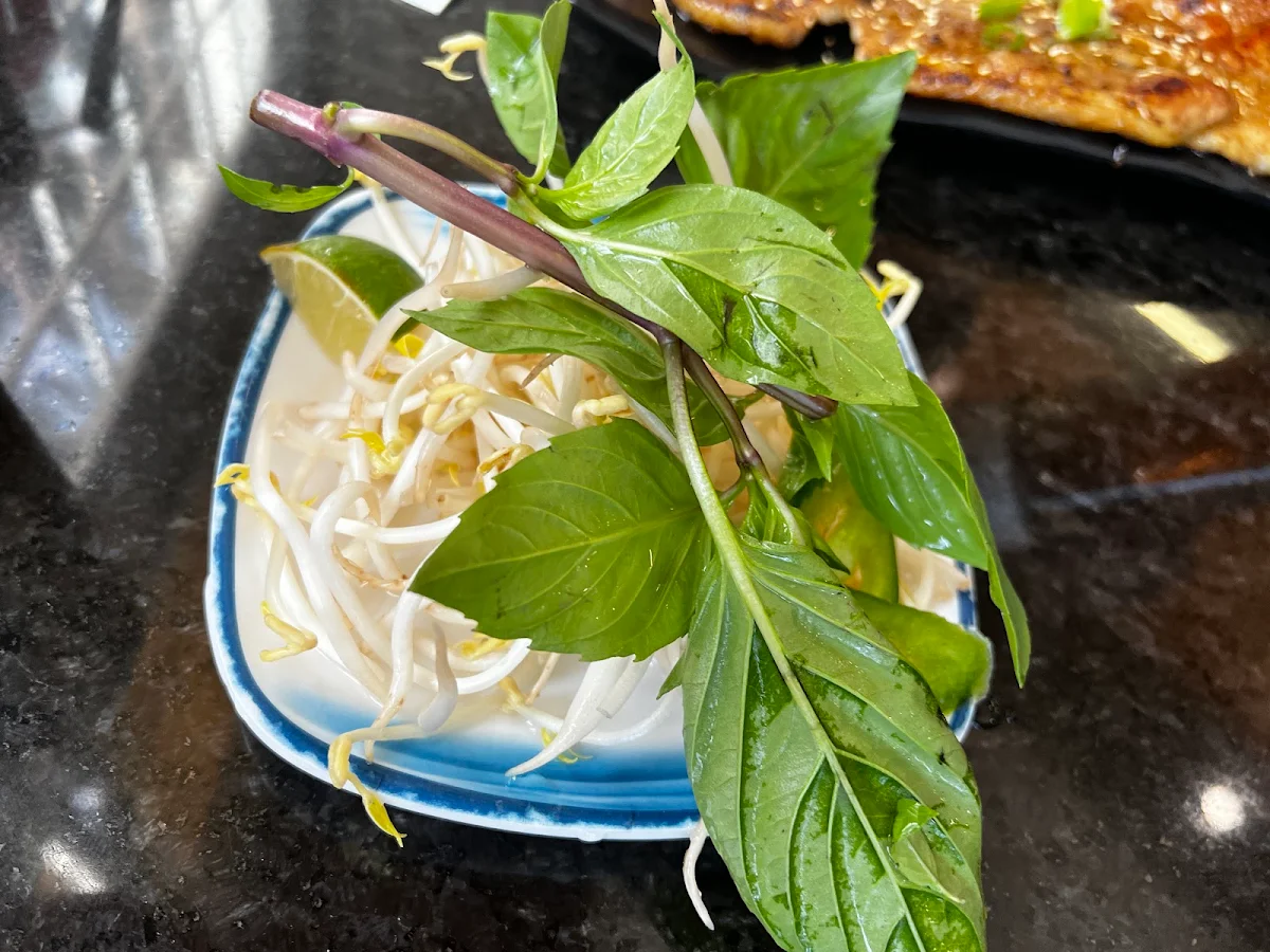 House Special Phở Phở Đặc Biệt