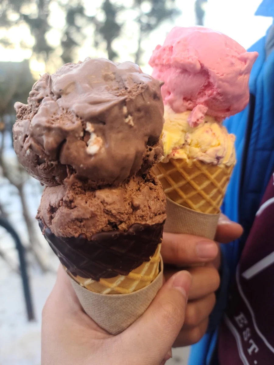 Chocolate Peanut Butter and Chocolate Chip Mint