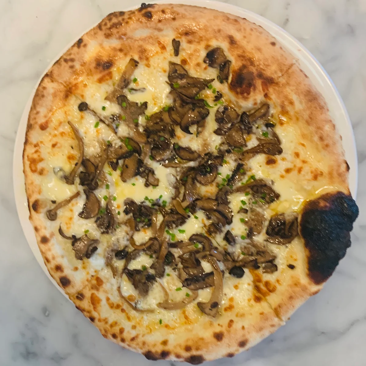 Mushroom Pizza