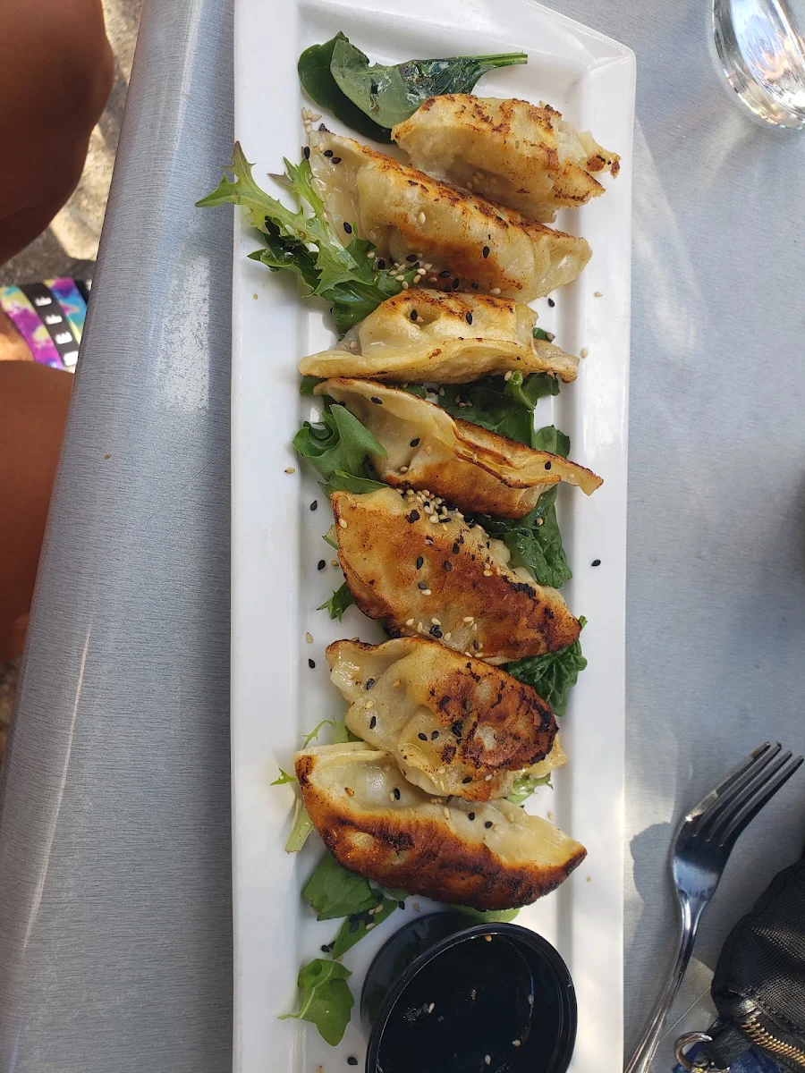 Chicken Pot Stickers