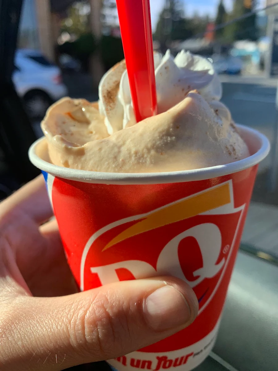 Pumpkin Pie Blizzard Treat