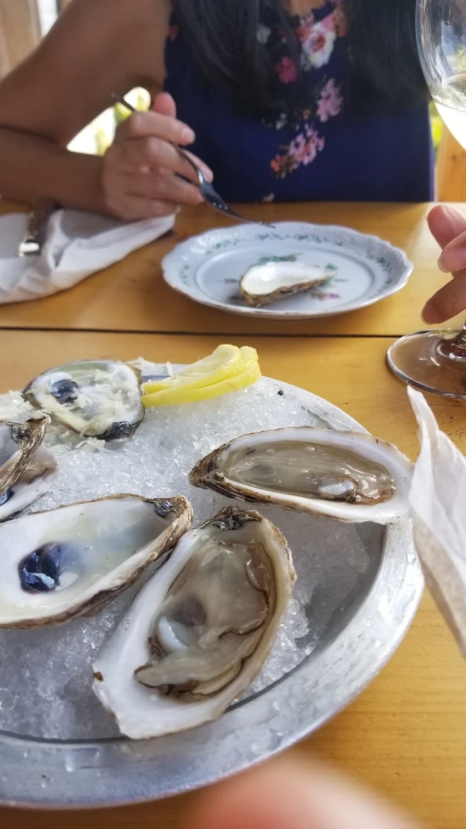 Nova Scotia Oysters