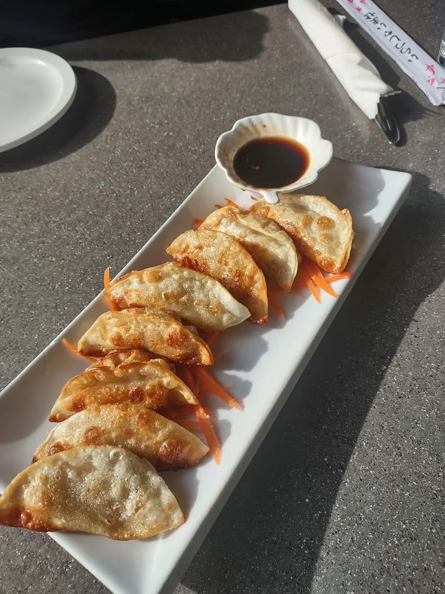 Fried Dumplings