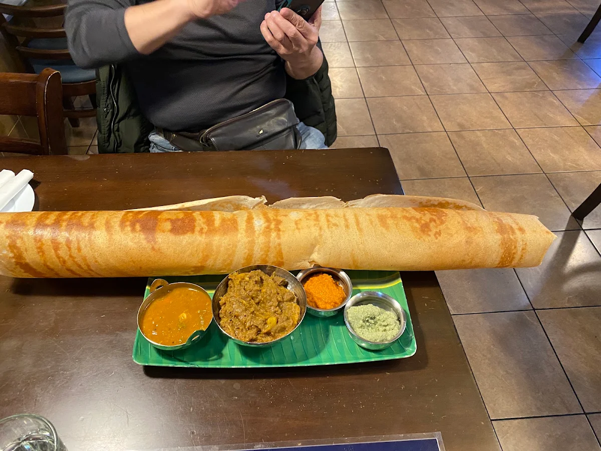 Paper Masala Dosa Paneer