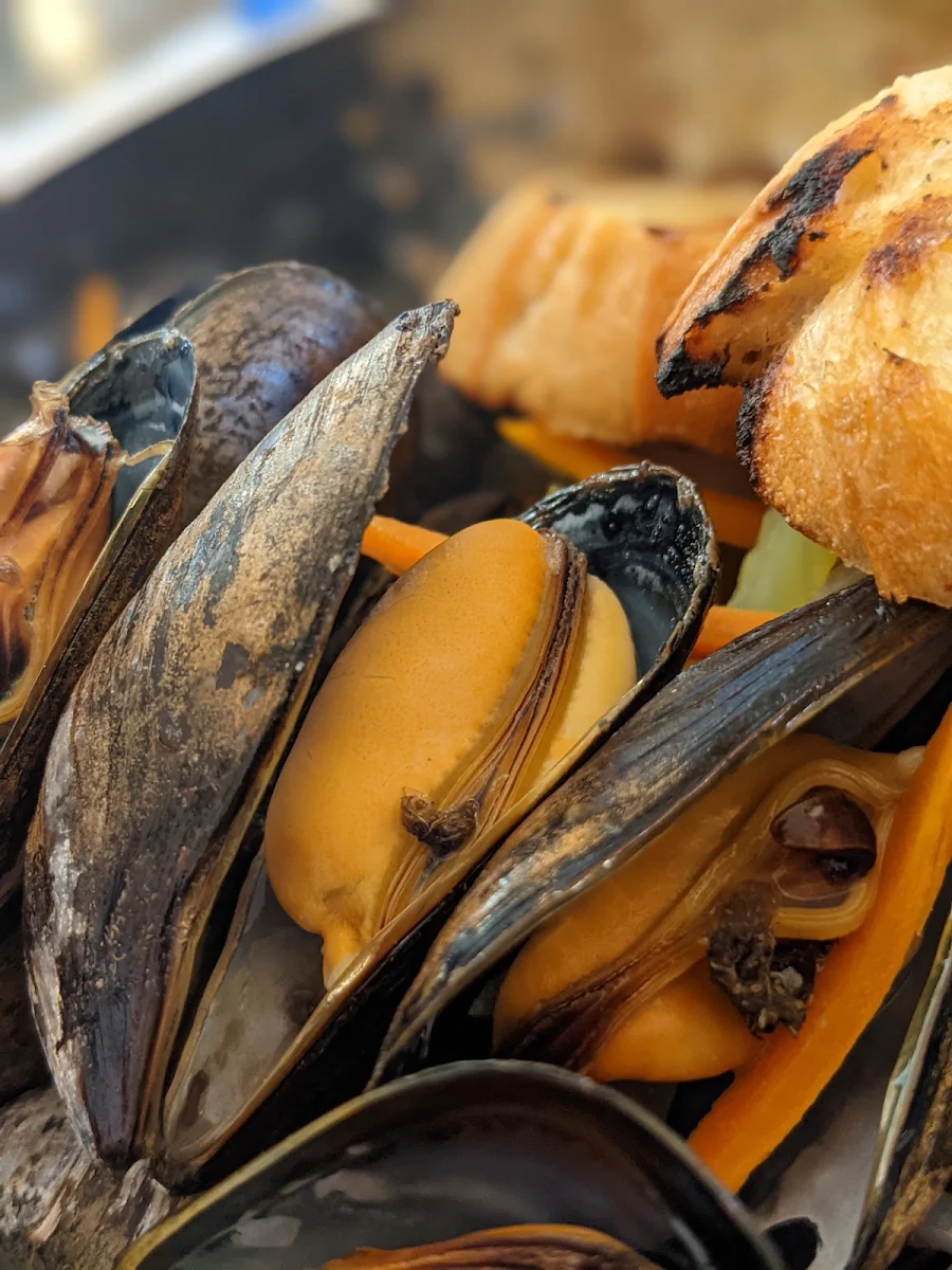 Mussels