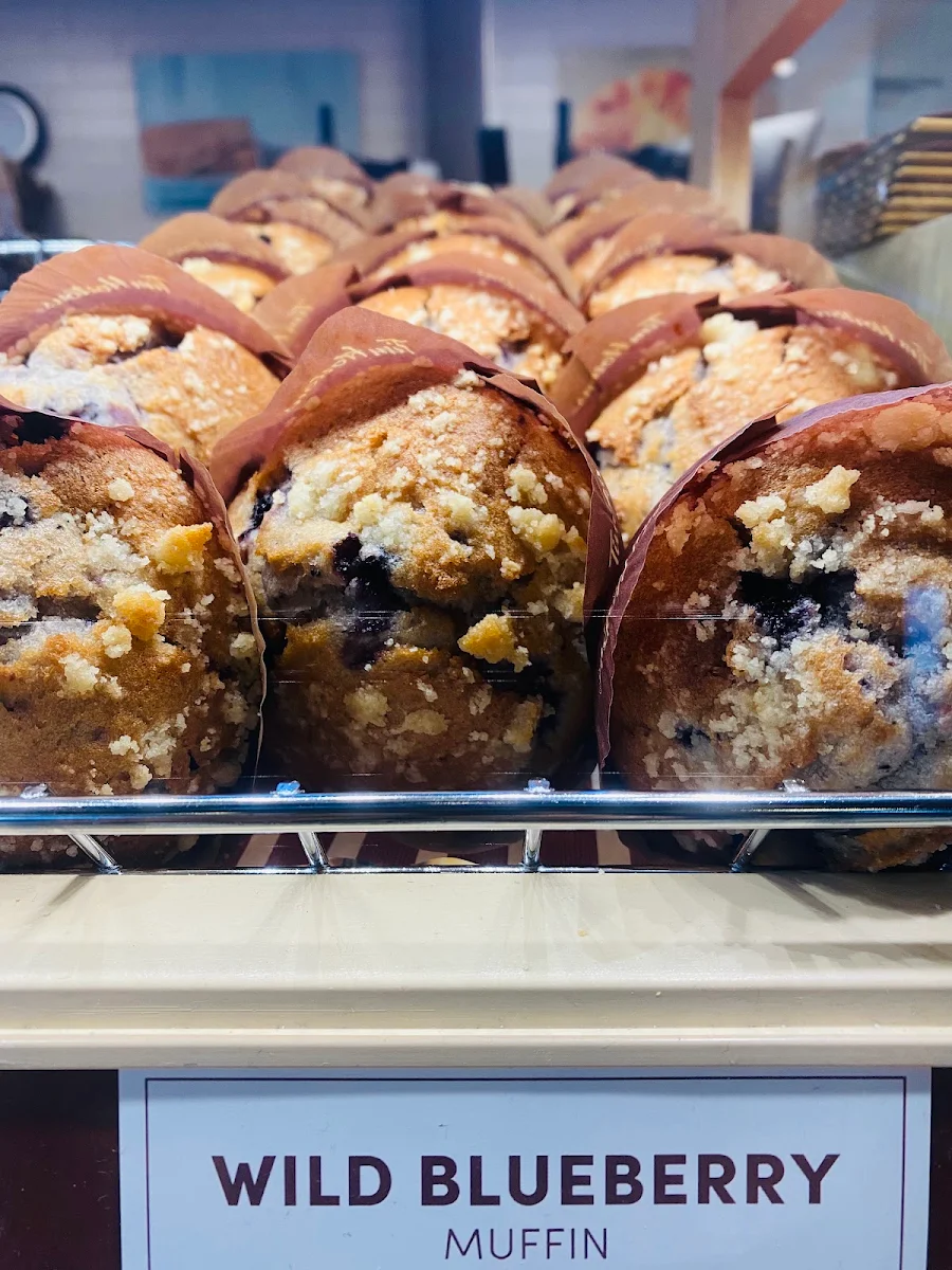 Blueberry Muffin