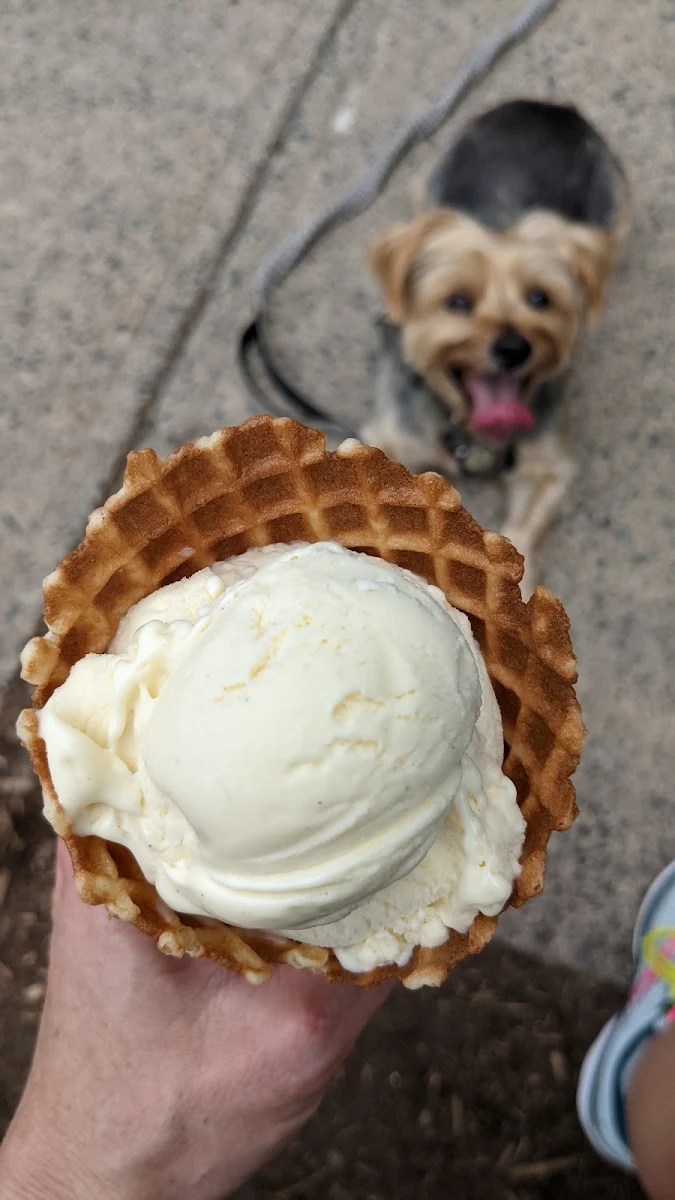 Vanilla Ice Cream