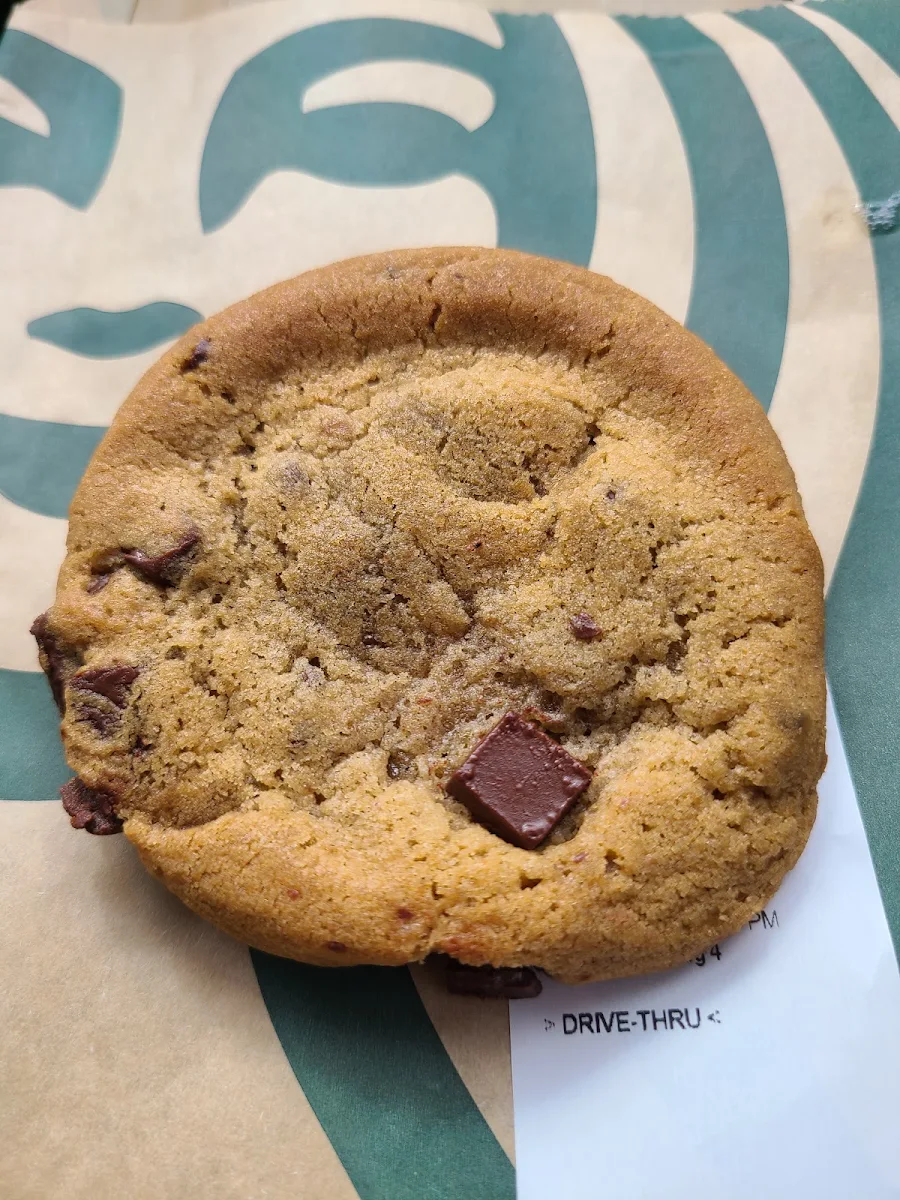 Warm Chocolate Chip Cookie