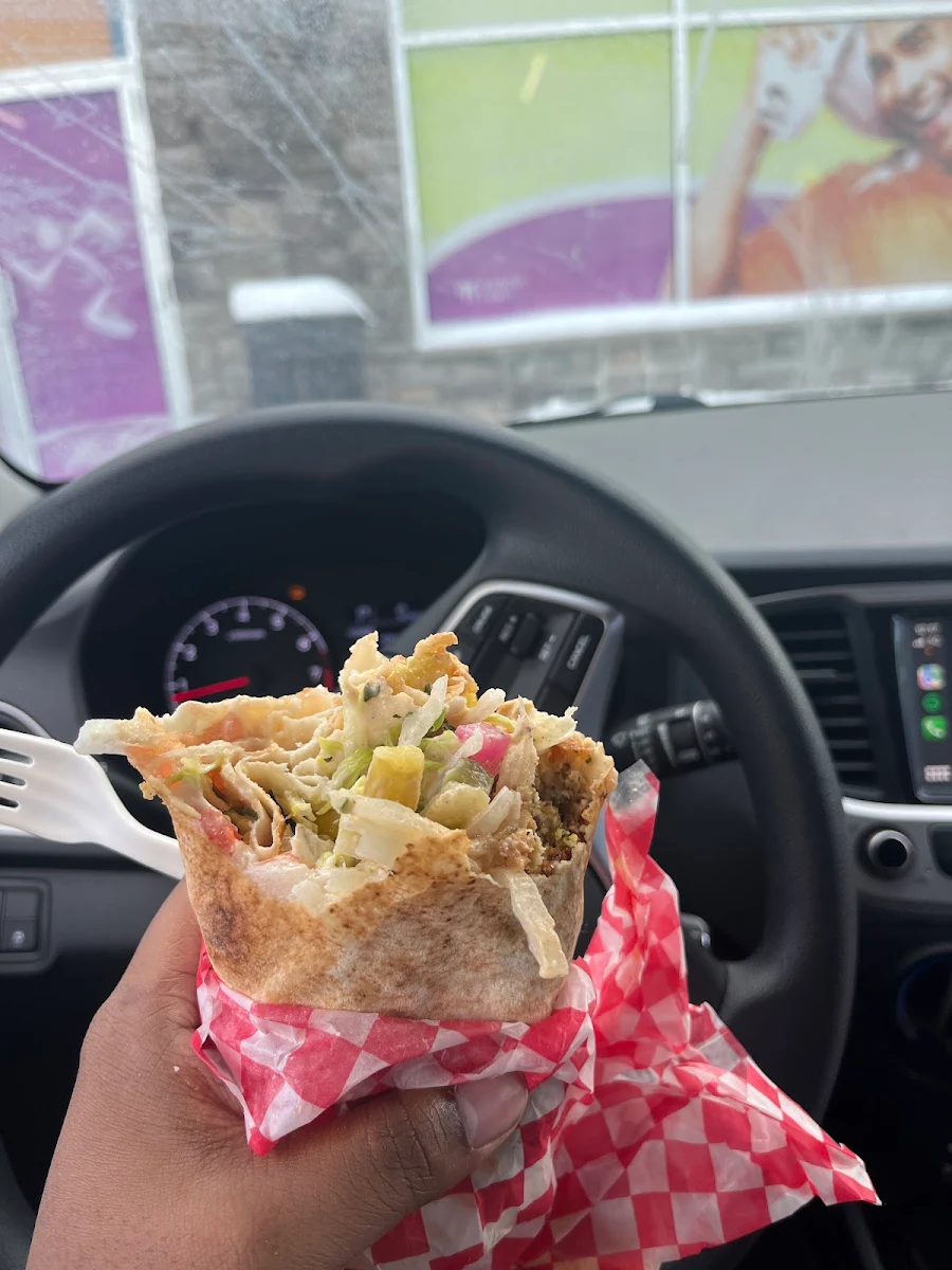 Falafel Sandwich