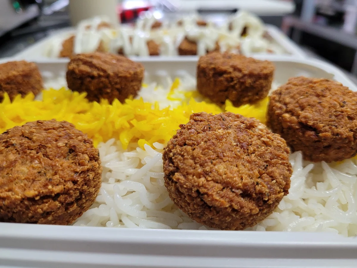 Falafel Platter
