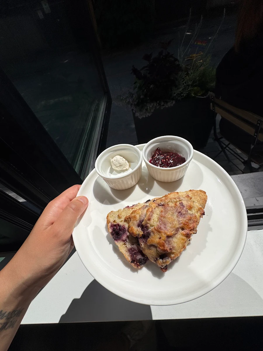 Blueberry Lemon Scone