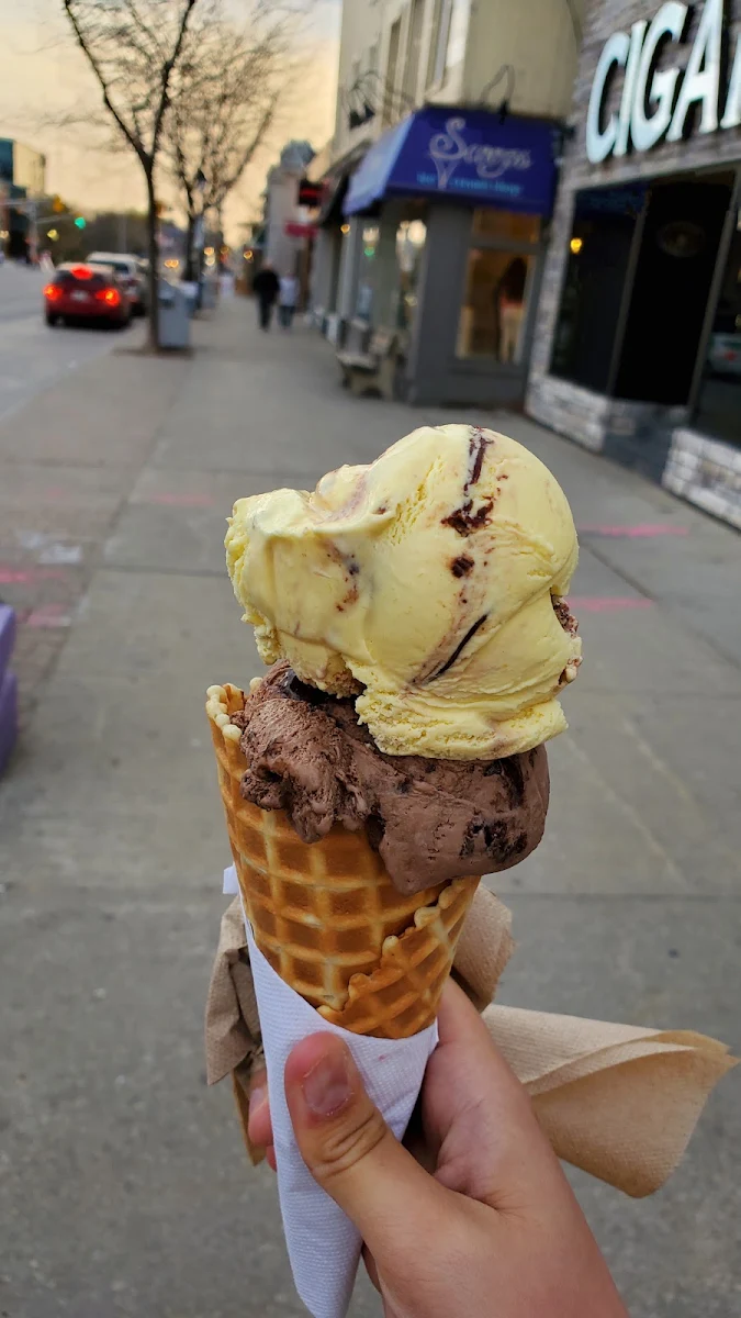 Banana Nutella and Double Chocolate Brownie