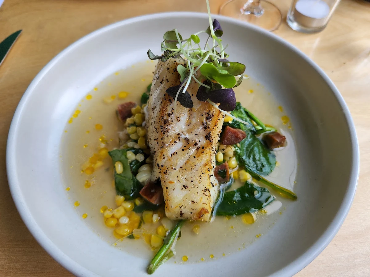 Cod, The Rowan