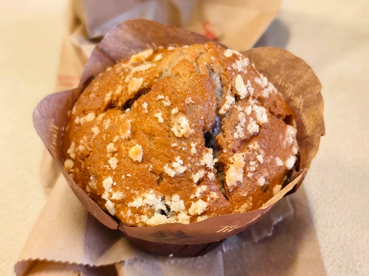 Blueberry Muffin