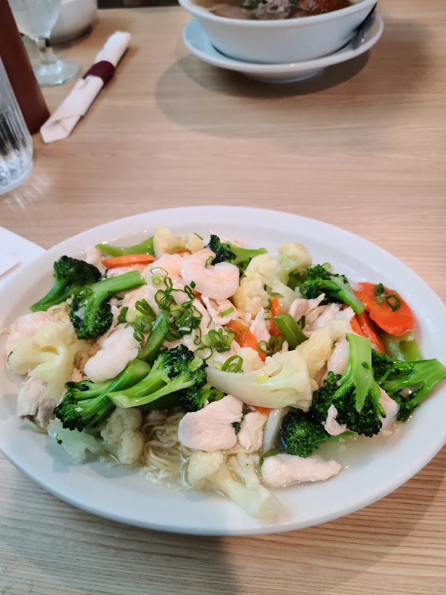 Pan Fried Noodles with Chicken