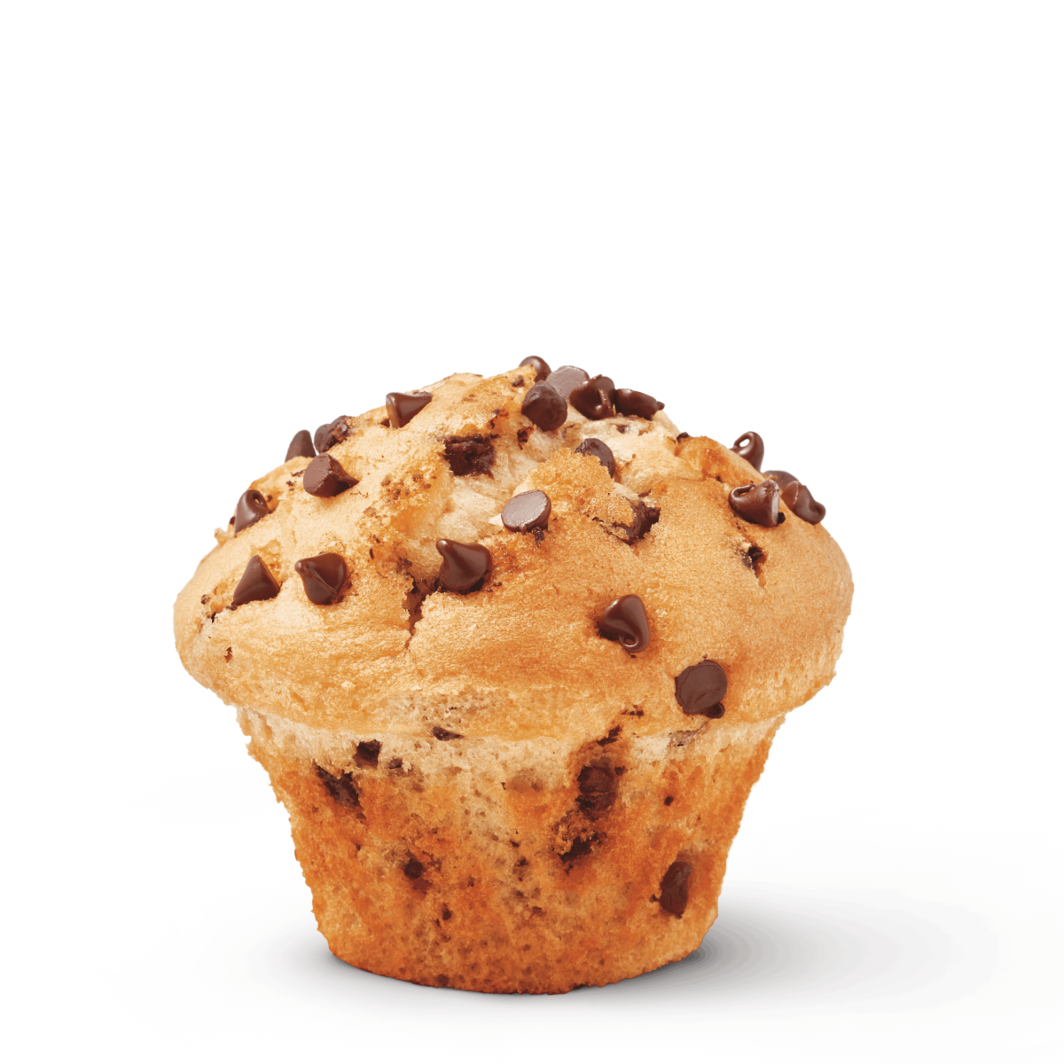 Chocolate Chip Muffin