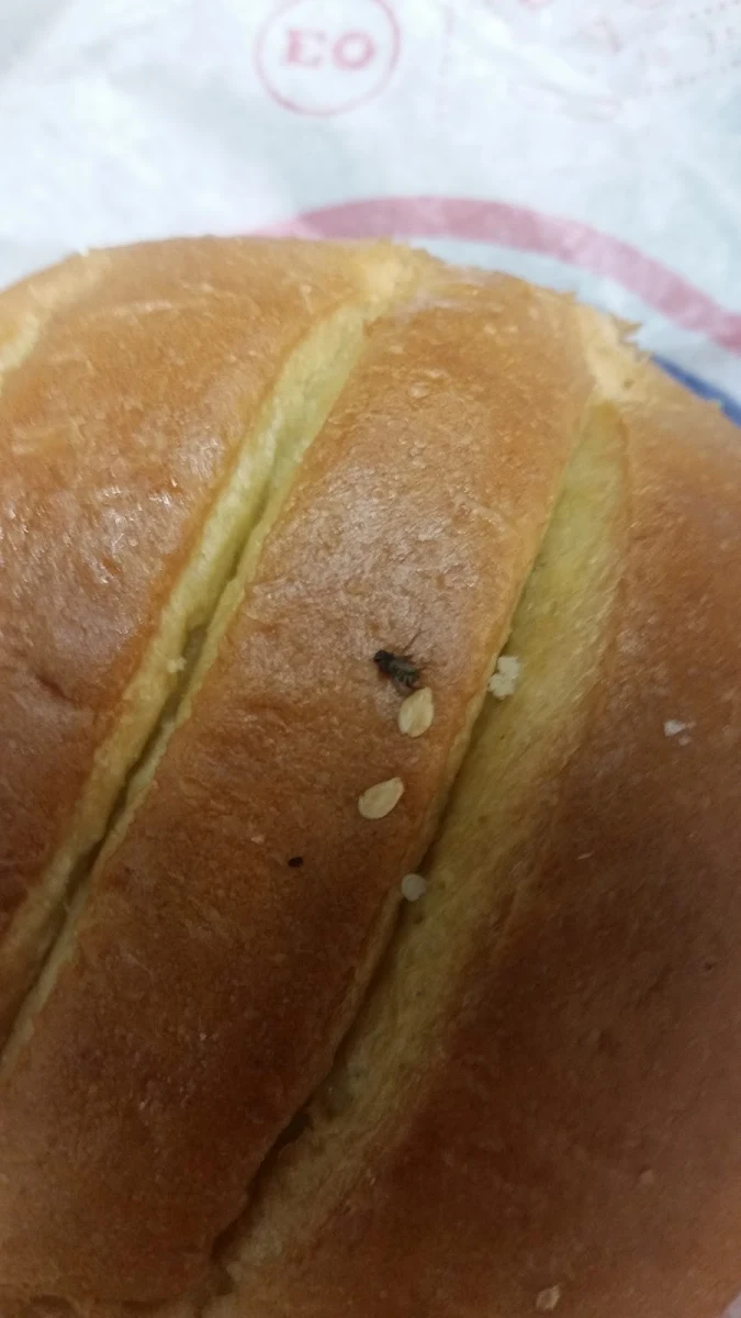 Burger Combo