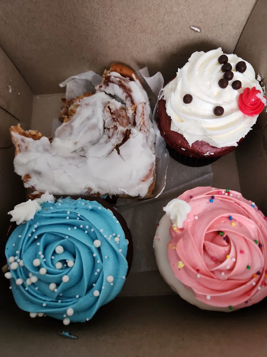 Gluten Free Cupcakes Red Velvet Cupcake and Cinnamon Bun with Frosting