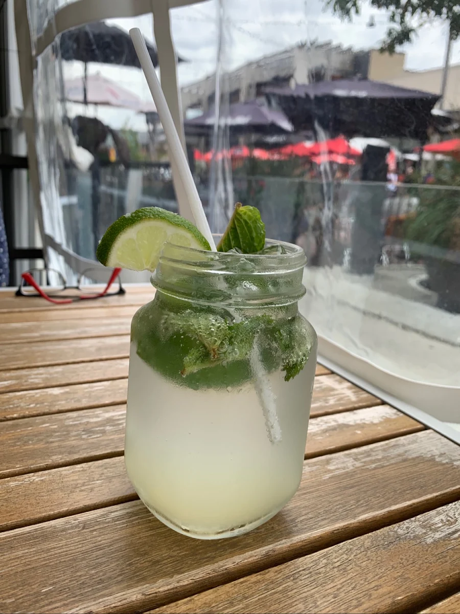 Watermelon Mojito
