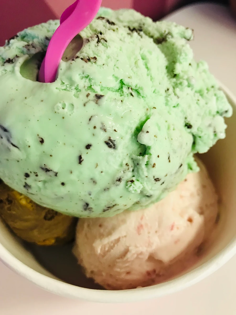 Mint Chocolate Chip