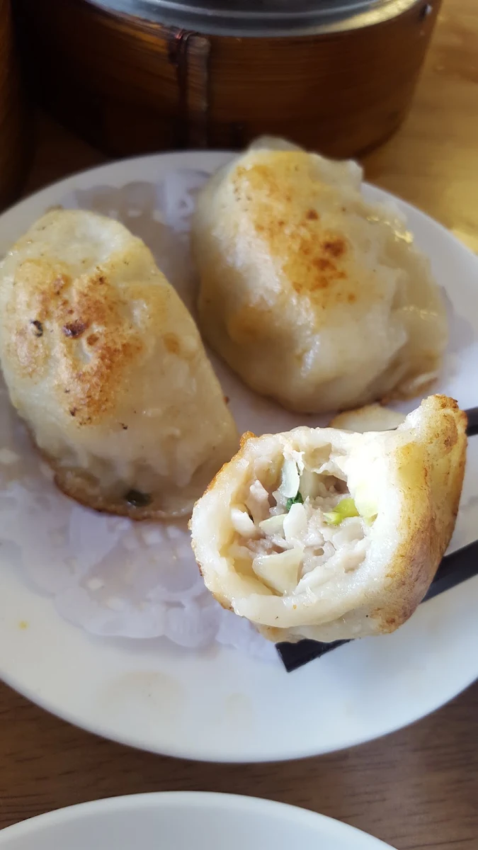 Pan Fried Pork Dumpling