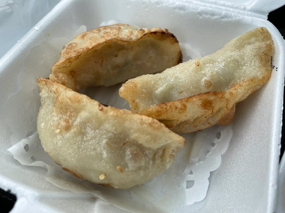 Pork Dumplings
