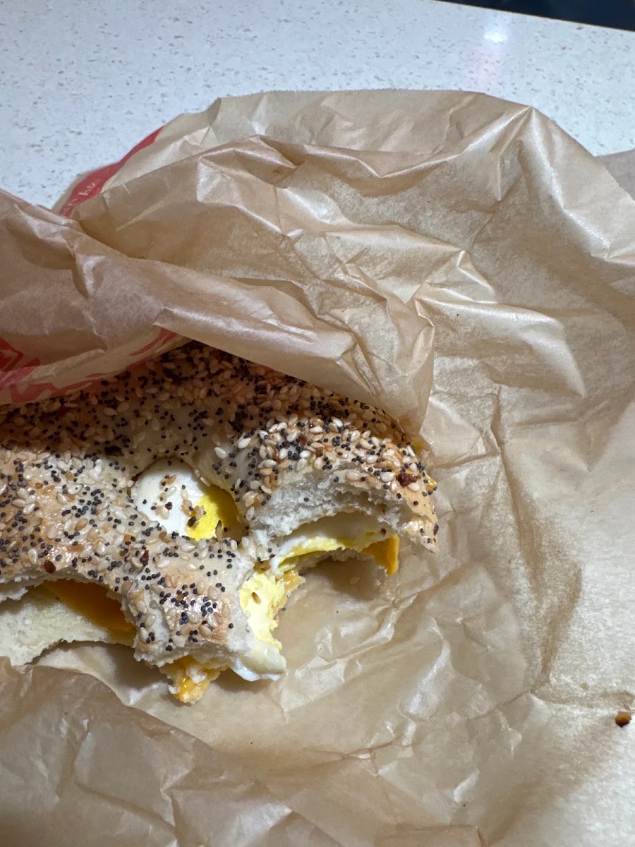 Everything Bagel